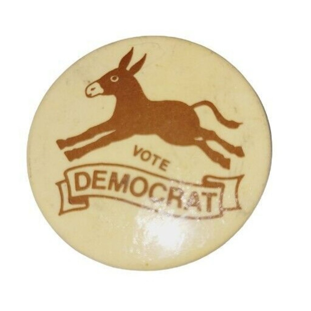 Vote Democrat Donkey Political Campaign Pinback Button Brown Paid For By Jr Zeek